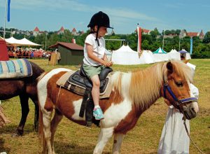 Young Girl riding a Pony